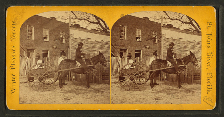 View of a man in mule cart in front of a home.
