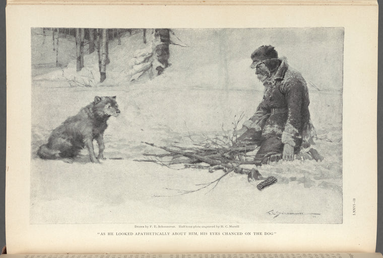 "As he looked apathetically about him, his eyes chanced on the dog"
