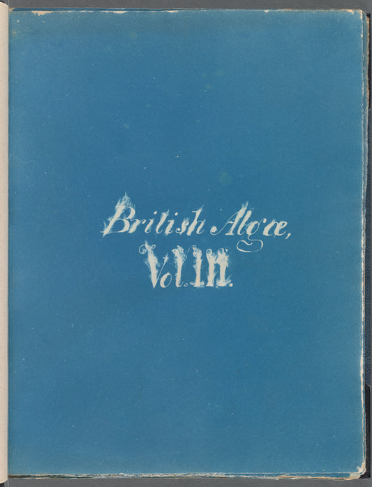 British Algae, Vol. III [title page]