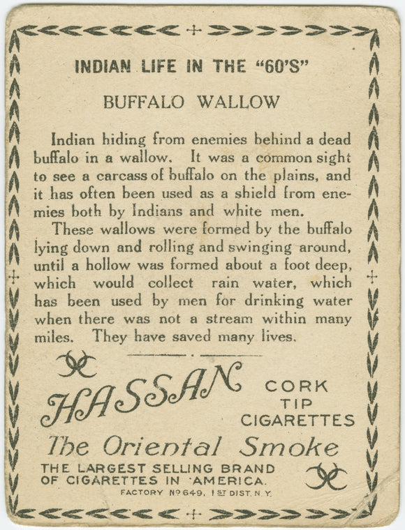 Buffalow wallow.