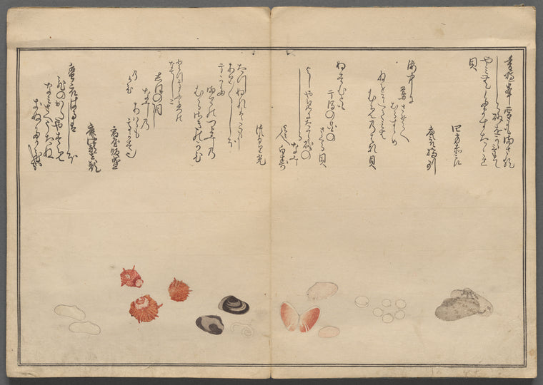 Shiohi no tsuto