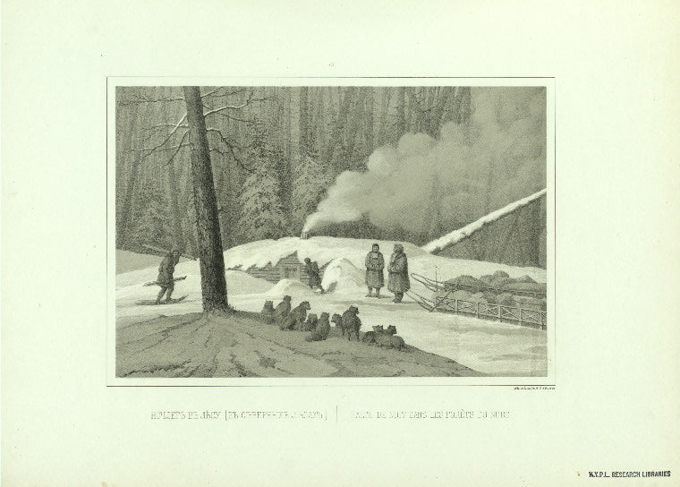 Nochleg v lesu ( v severnykh lesakh).