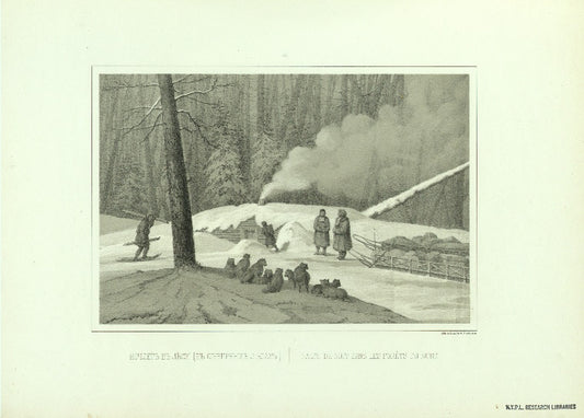 Nochleg v lesu ( v severnykh lesakh).