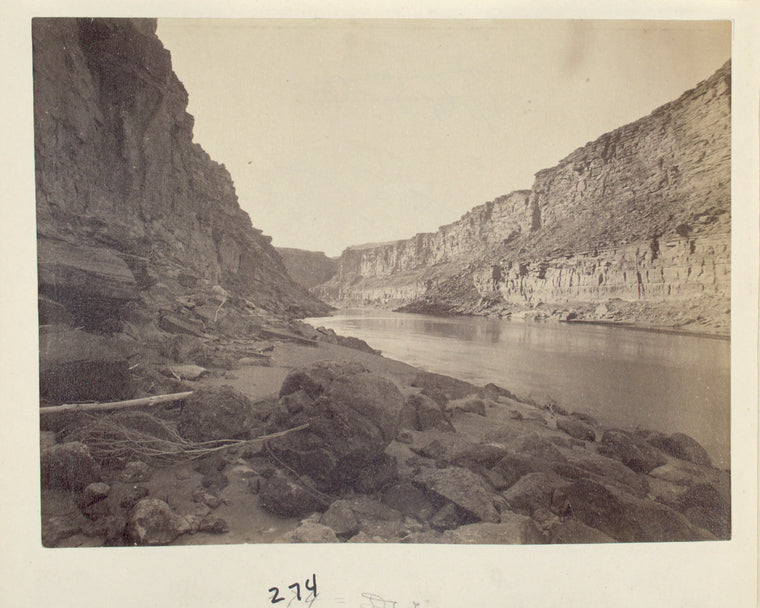 Riverbed with driftwood in foreground