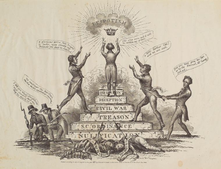 Nullification….despotism