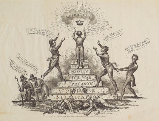 Nullification….despotism