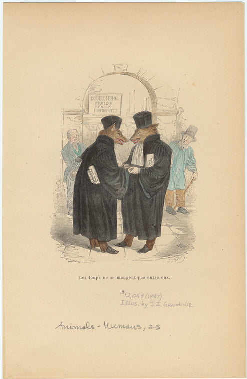 Les loups ne se mangent pas entre eux