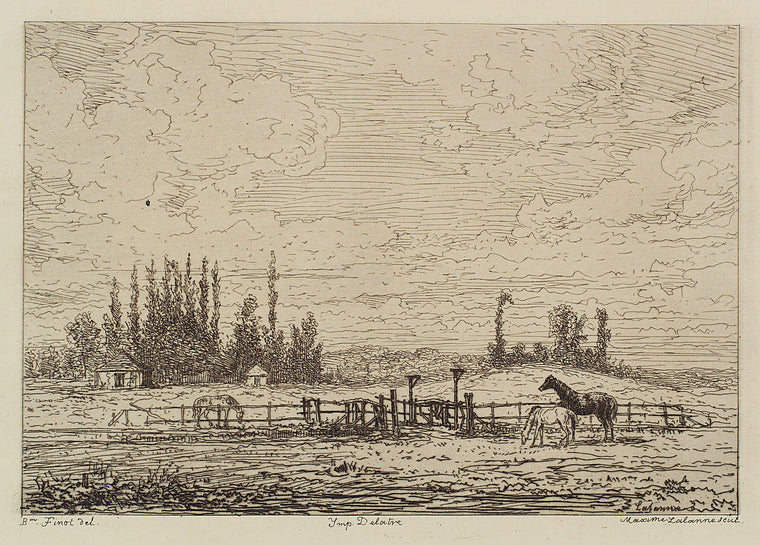 Three horses in a field.