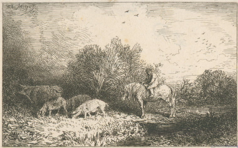 Paysage et animaux.