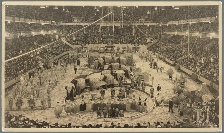 Ringling Bros and Barnum and Bailey Combined Circus in Madison Square Garden, New York City