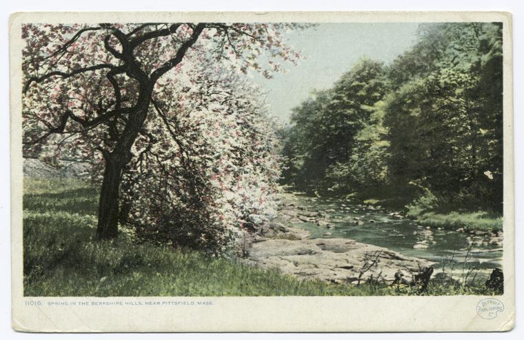 Spring in the Berkshire Hills, Berkshire Hills, Mass.