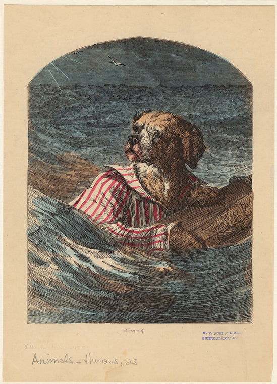 Dog floating in water