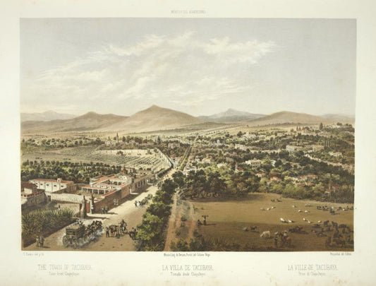 La villa de Tacubaya, tomada desde Chapultepec = La ville de Tacubaya, prise de Chapulpetec = The town of Tacubaya, taken from Chapultepec.