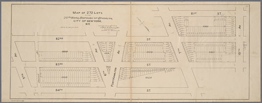 Map of 272 lots in the 30th wards, borough of Brooklyn, City of New York
