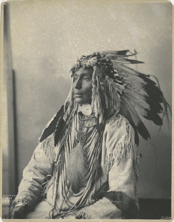 Kill Spotted Horse, Assiniboine