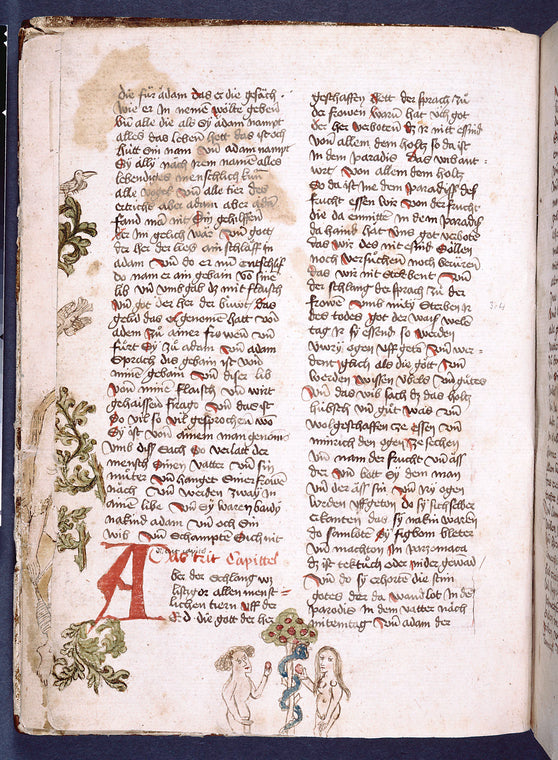 Text with initial, rubric, placemarkers and border design including drawing of Adam, Eve and the Serpent