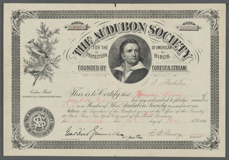 Audubon Society membership certificate for Herman Siems