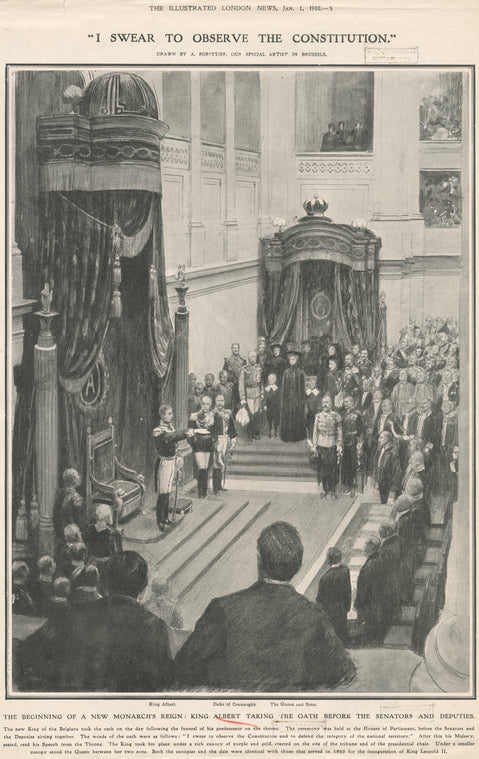 'I swear to observe the constitution': King Albert taking the oath before the senators and deputies