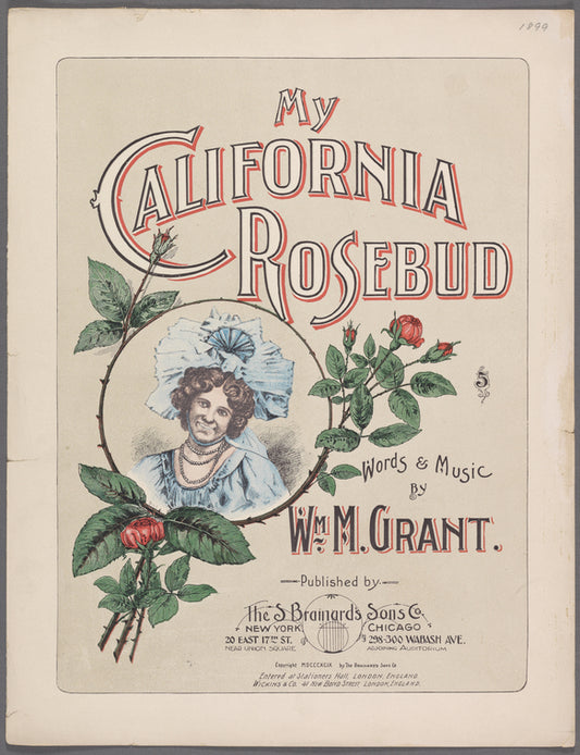 My California rosebud