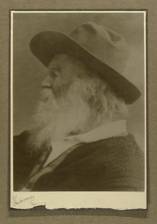 Cropped version of a portrait of Walt Whitman with a butterfly, possibly from the early 1880s