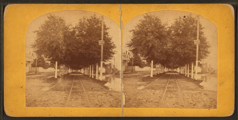 Esplanade Str. [View of railroad tracks.]