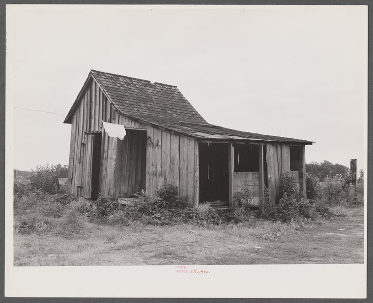 Eight migratory agricultural workers stay in this shack near Belcross, North Carolina.