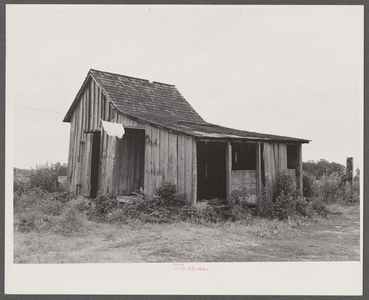 Eight migratory agricultural workers stay in this shack near Belcross, North Carolina.