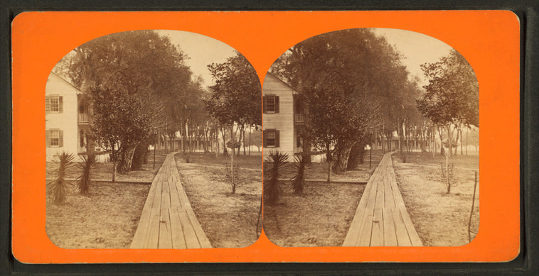 View at Magnolia, Fla.