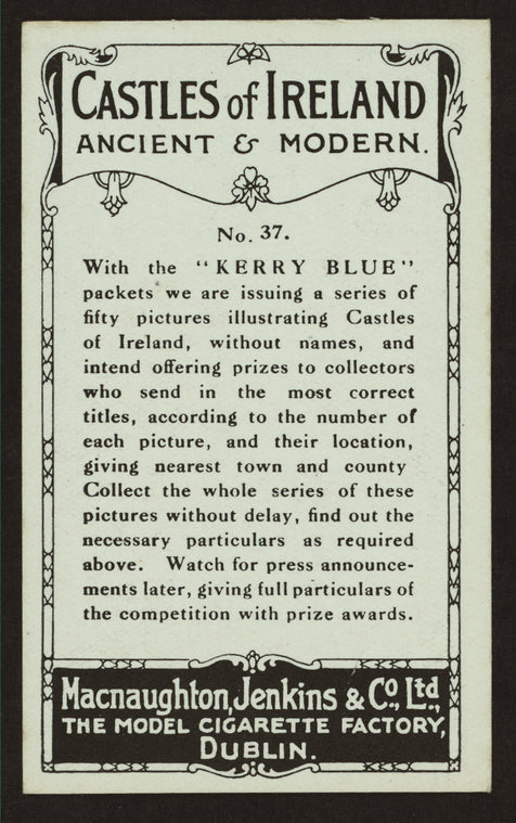 Castles of Ireland ; Ancient and modern