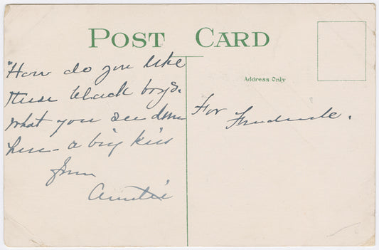 "Alligator Bait" - postcard to Frederick Hoeing