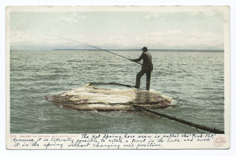 Fish Pot, Hot Springs, Yellowstone Park