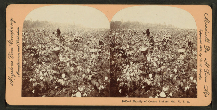 Family of cotton pickers, Ga.