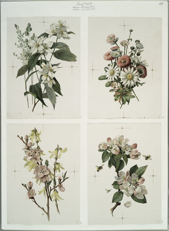 Flower designs.