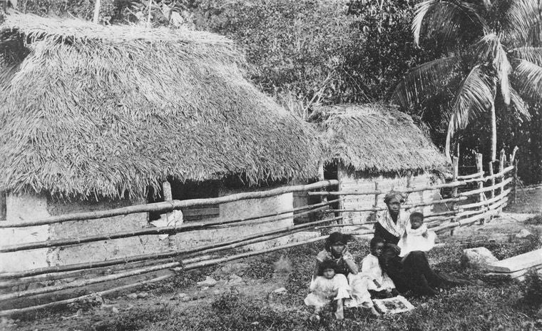 A peasant's home.