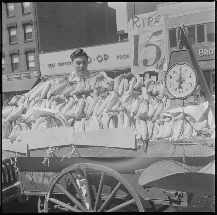 Fruit vendor. New York, NY