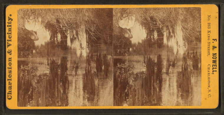 Lake, Magnolia Cemetery.