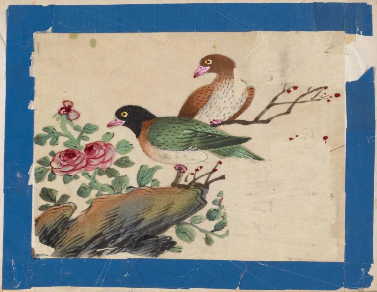 Birds of China. [Green bird with black head, brown bird]