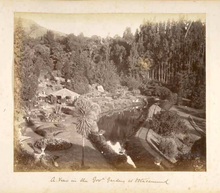 A view in the govt. gardens at Ootacamund.