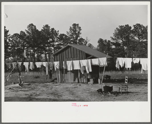 A washline, instead of hanging the clothes on a fence or the bushes, in Nolan Pettway's backyard, Gees Bend, Alabama