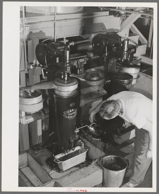 Centrifuges are used to separate the olive oil from water. Lindsay, California