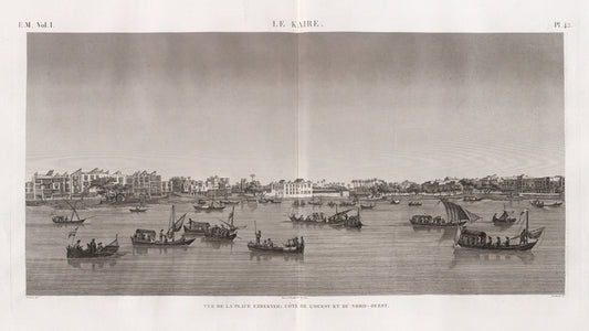 Le Kaire [Cairo]. Vue de la place Ezbekyeh [Ezbekîya], côté de l'ouest et du nord-ouest.
