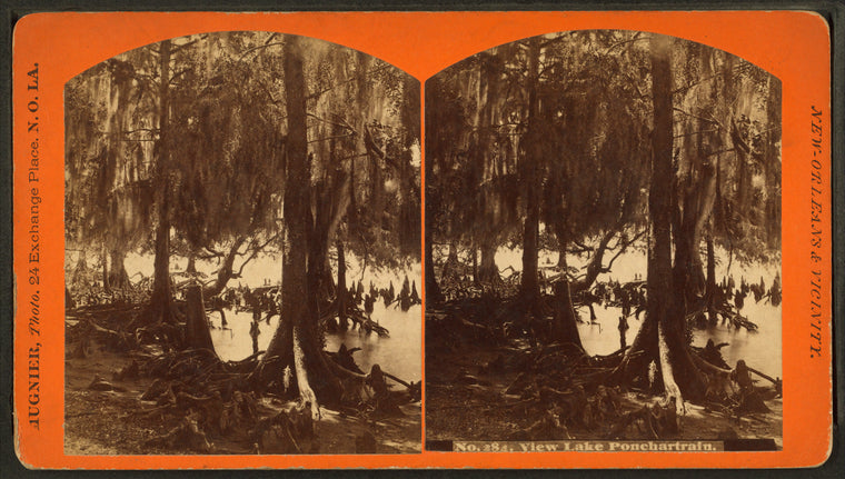 View Lake Ponchartrain.