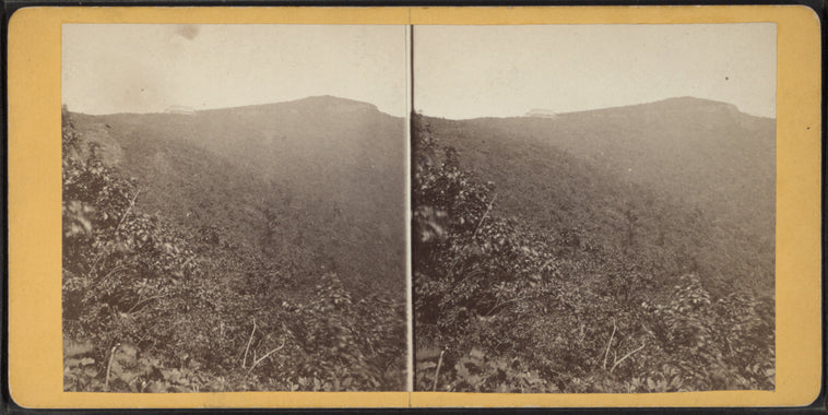 Overlook Mountain House, distant view. – NYPL Print Store