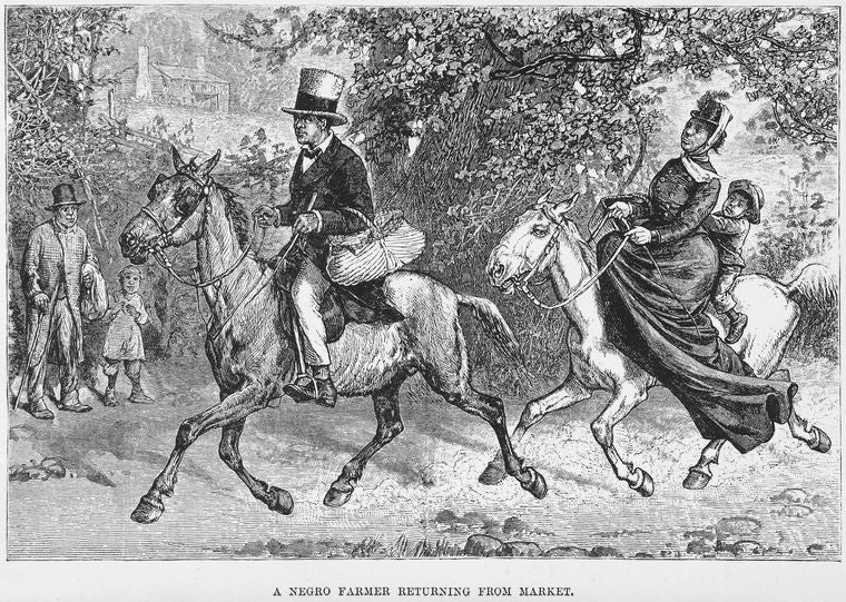 A Negro farmer returning from market.