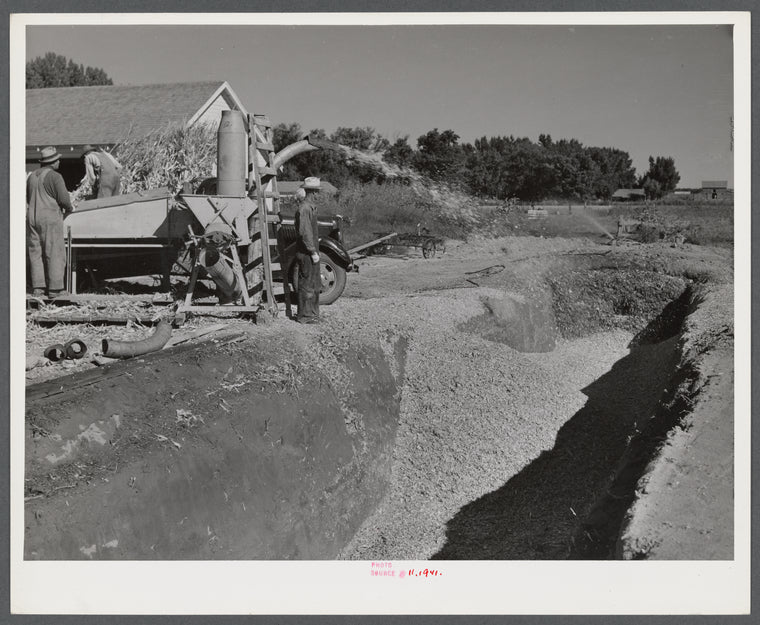 Filling the trench silo on Scottsbluff Farmsteads FSA (Farm Security Administration) project. Scottsbluff, Nebraska.