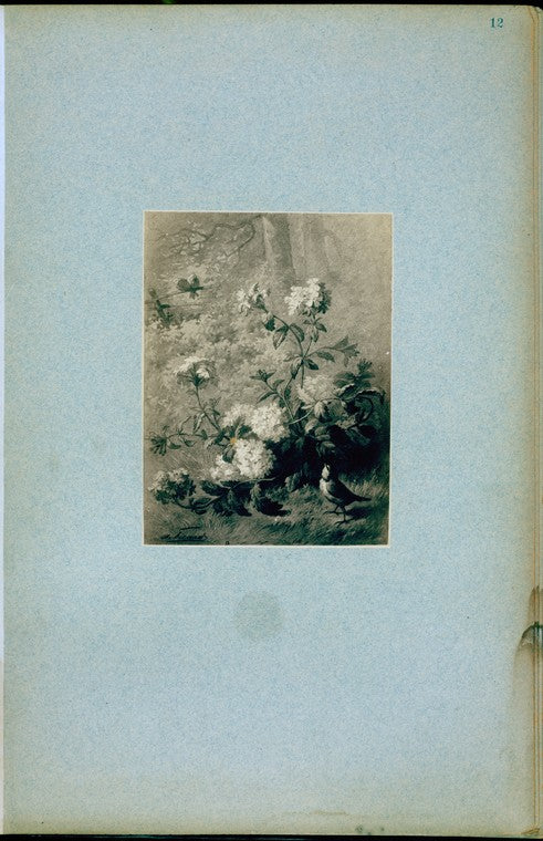 Flowers and birds