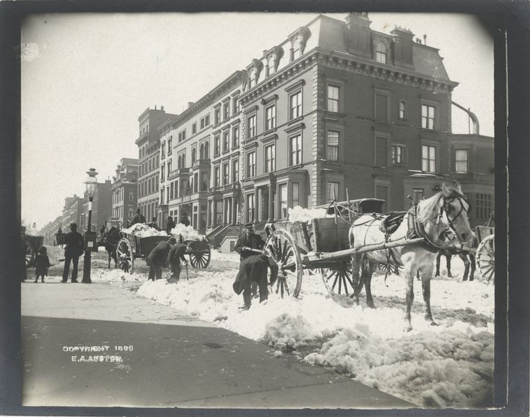 Snow carts.