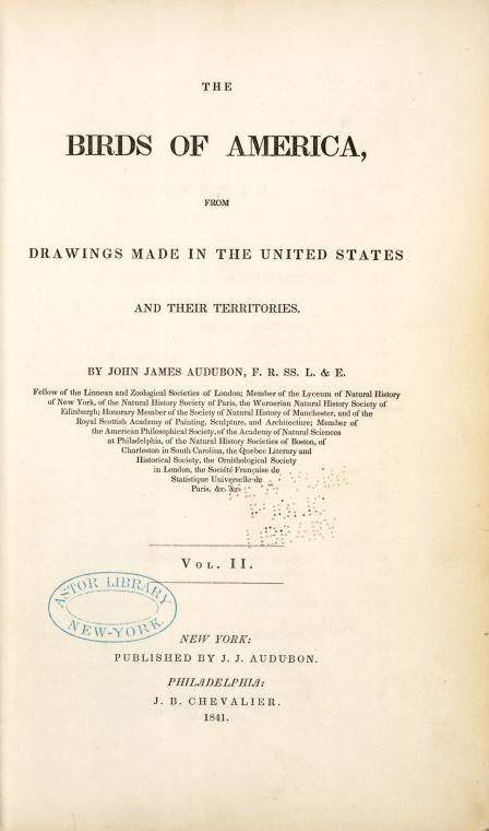 The birds of America...
