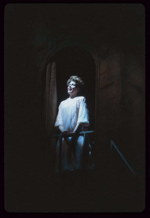 Do I Hear a Waltz?, original Broadway production