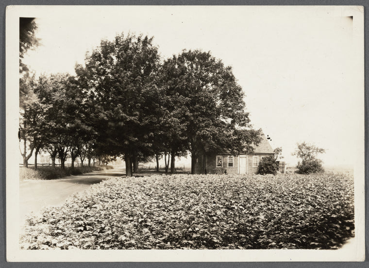 House. East side Horton's Lane, north of Jos. H. Horton house. Southold, Southold